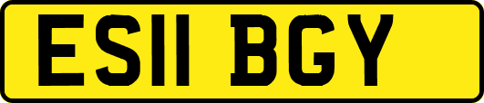 ES11BGY