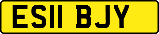 ES11BJY