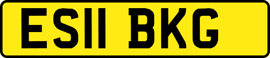 ES11BKG