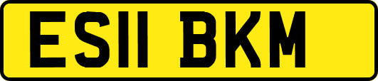 ES11BKM