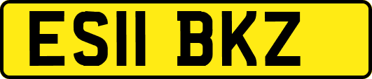 ES11BKZ