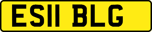 ES11BLG