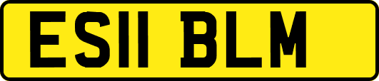 ES11BLM