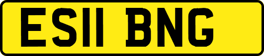 ES11BNG