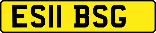 ES11BSG