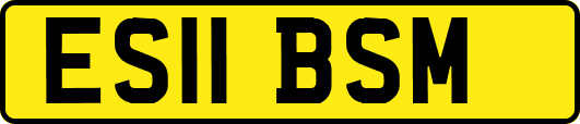 ES11BSM