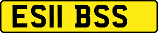 ES11BSS
