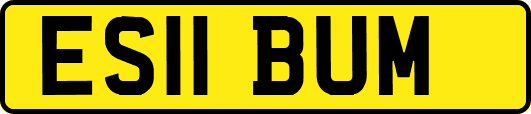ES11BUM