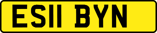ES11BYN