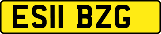 ES11BZG