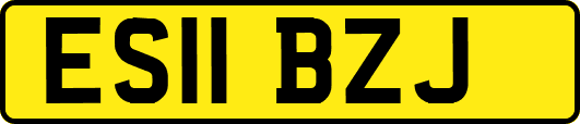 ES11BZJ