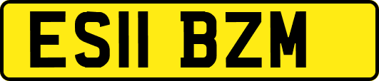 ES11BZM