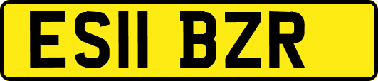 ES11BZR