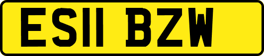 ES11BZW