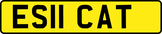 ES11CAT
