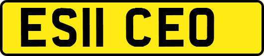 ES11CEO