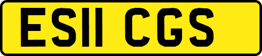 ES11CGS