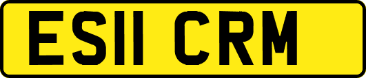 ES11CRM