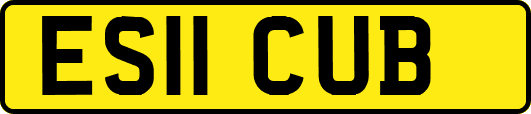 ES11CUB