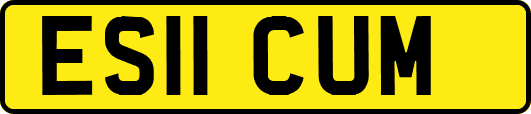 ES11CUM