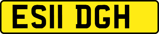 ES11DGH