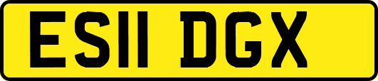 ES11DGX