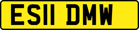 ES11DMW