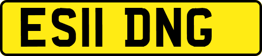 ES11DNG