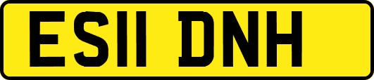 ES11DNH