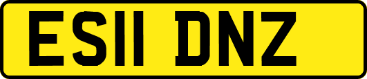 ES11DNZ