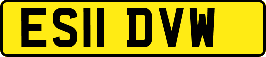 ES11DVW