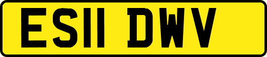 ES11DWV