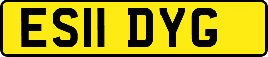 ES11DYG