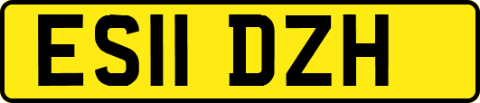 ES11DZH