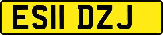 ES11DZJ