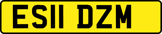 ES11DZM