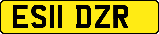 ES11DZR