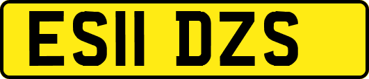 ES11DZS