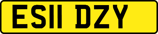 ES11DZY