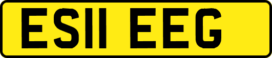 ES11EEG