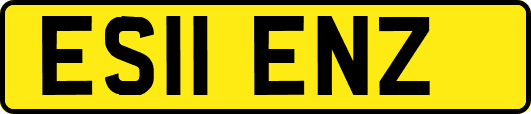 ES11ENZ