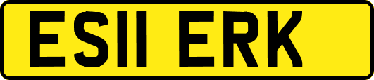 ES11ERK