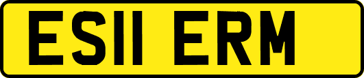 ES11ERM