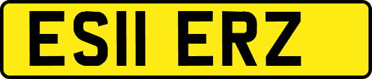ES11ERZ