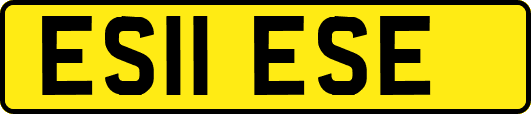ES11ESE