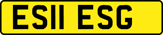 ES11ESG
