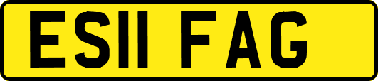 ES11FAG