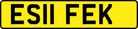 ES11FEK