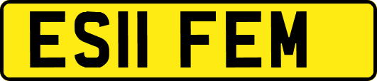 ES11FEM