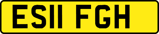 ES11FGH